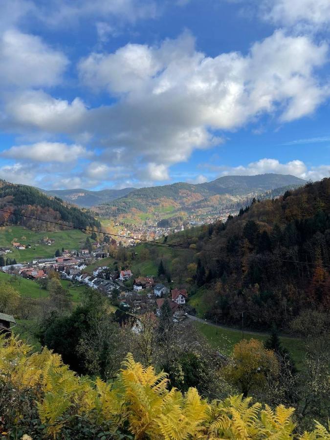 Einzigartiges Apartment, Mitten In Der Natur Ottenhofen im Schwarzwald Kültér fotó