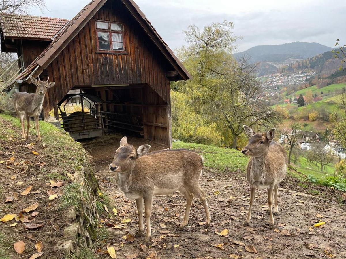 Einzigartiges Apartment, Mitten In Der Natur Ottenhofen im Schwarzwald Kültér fotó