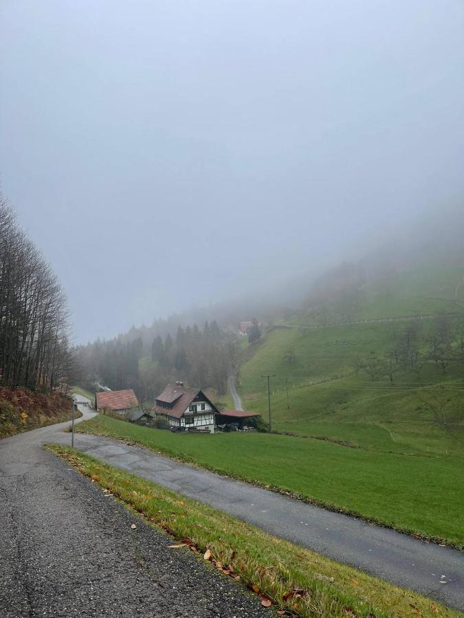 Einzigartiges Apartment, Mitten In Der Natur Ottenhofen im Schwarzwald Kültér fotó