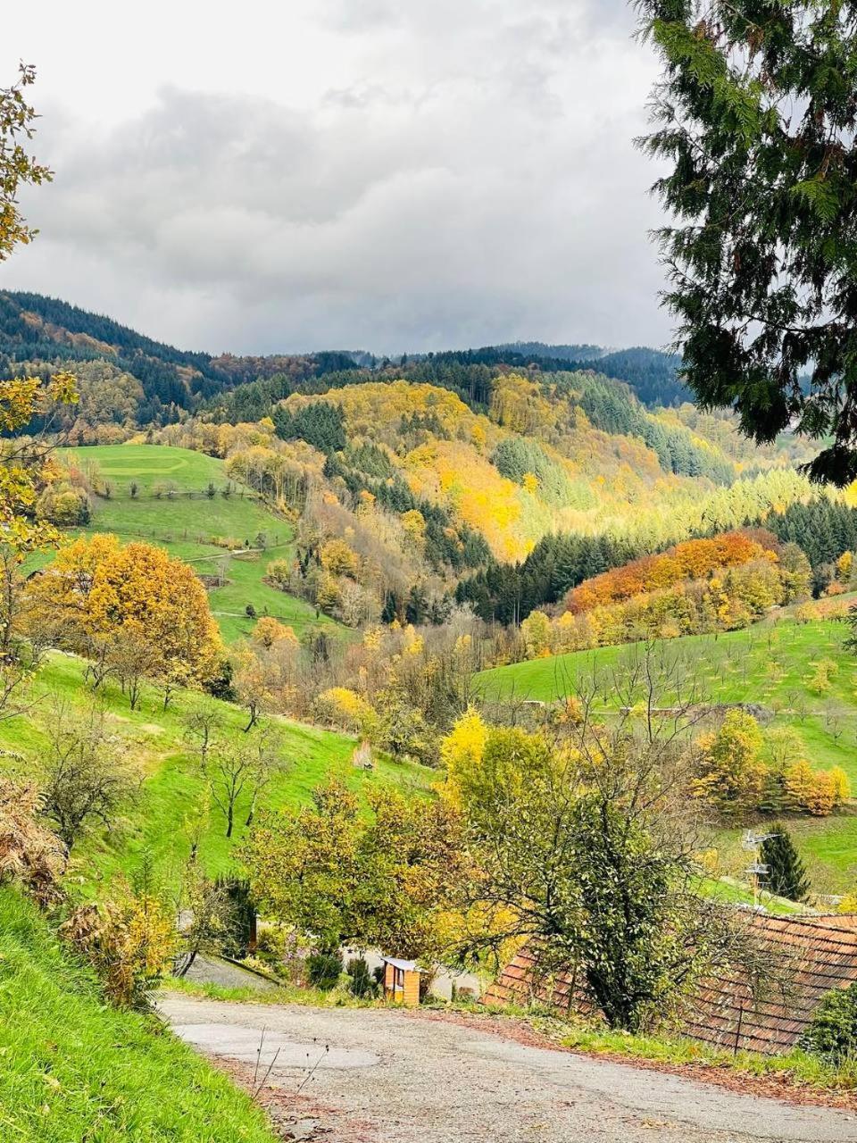 Einzigartiges Apartment, Mitten In Der Natur Ottenhofen im Schwarzwald Kültér fotó